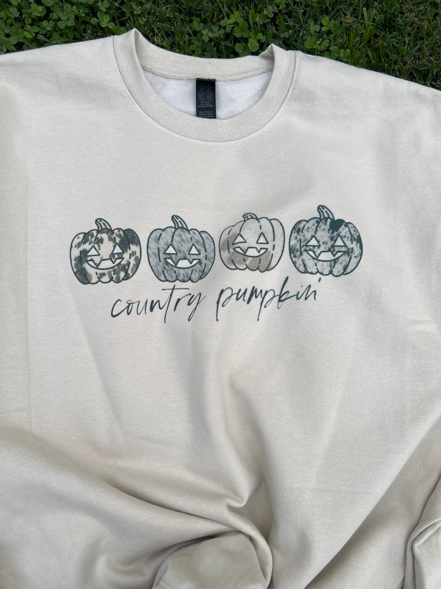 Country Pumpkin Crewneck