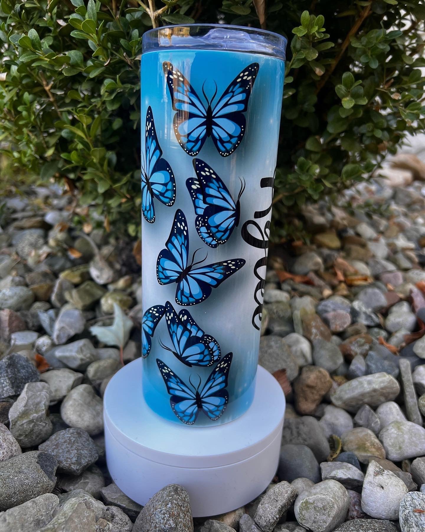 Blue Butterfly