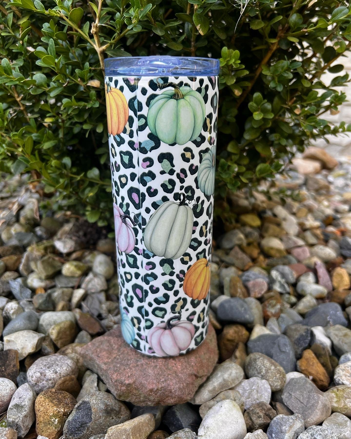 Pastel Pumpkins